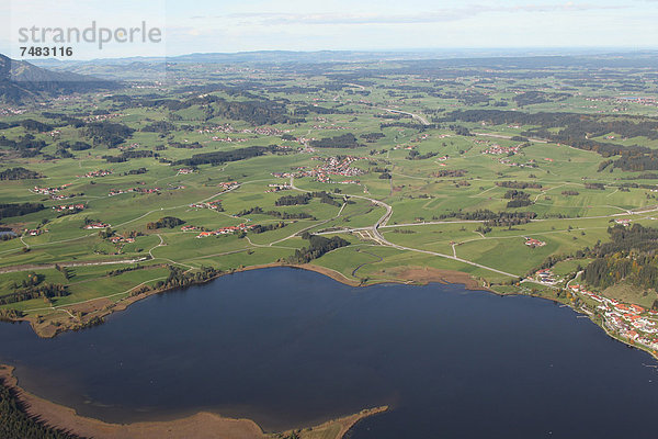 Luftaufnahme  Hopfensee im Ostallgäu  Allgäu  Bayern  Deutschland  Europa