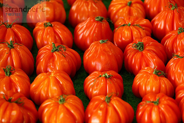 Tomaten auf dem Wochenmarkt  Cote d'Azur  Frankreich  Europa