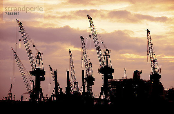 Kräne  Silhouetten im Abendlicht  Werft  Hamburger Hafen  Hamburg  Deutschland  Europa