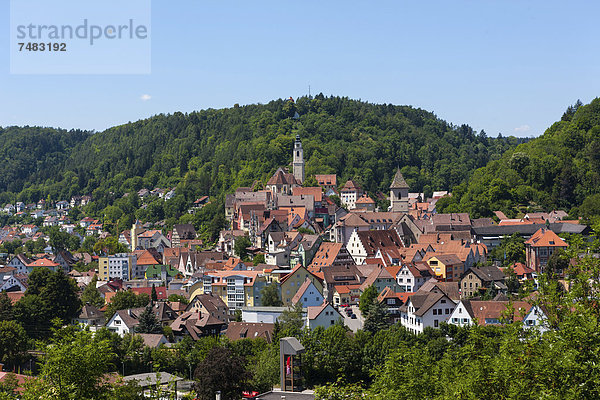 Europa Baden-Württemberg Schwarzwald Deutschland Horb am Neckar