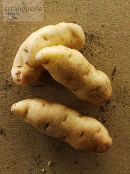 Bio-Kartoffeln  Sorte Anya