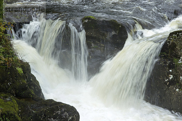 Wasserfall  Betws-y-Coed  Wales  Großbritannien  Europa
