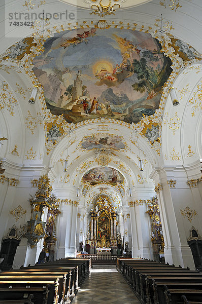 Deckenfresken in der Kirche  Kloster Schäftlarn  Schäftlarn  Bayern  Deutschland  Europa