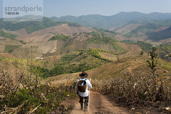 _lterer Mann mit Korb und Hut  Führer  aus dem Bergvolk oder Bergstamm der Hmong  ethnische Minderheit  auf dem Wanderweg  Nordthailand  Thailand  Asien