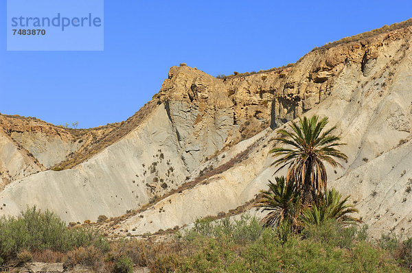 Tabernas-Wüste  Desierto de Tabernas  Naturpark  Tabernas  Provinz Almeria  Andalusien  Spanien  Europa