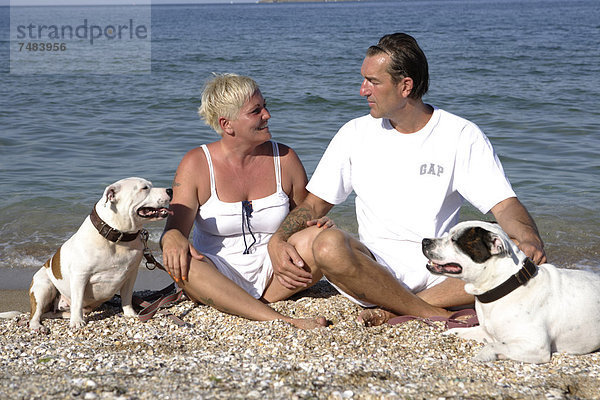 Ehepaar  41  50 Jahre  mit ihren Hunden  Staffordshire Bull Terrier  am Strand