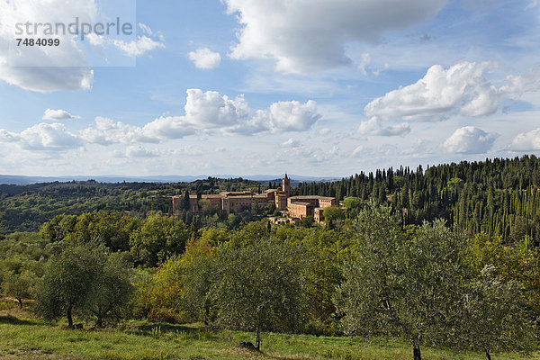 Crete von Siena  Crete Senesi  Abtei Abbazia di Monte Oliveto Maggiore  Buonconvento  Region Toskana  Provinz Siena  Italien  Europa