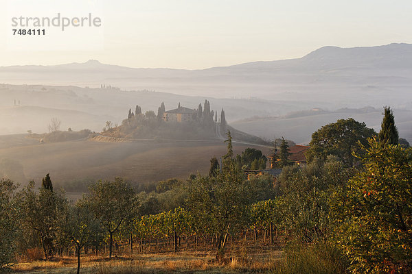 Europa Italien UNESCO-Welterbe Val d'Orcia Morgenstimmung Provinz Siena