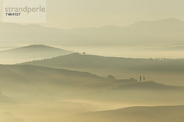 Morgenstimmung  Hügellandschaft im Herbst  San Qurico d'Orcia  UNESCO-Weltkulturerbe  Region Toskana  Provinz Siena  Italien  Europa