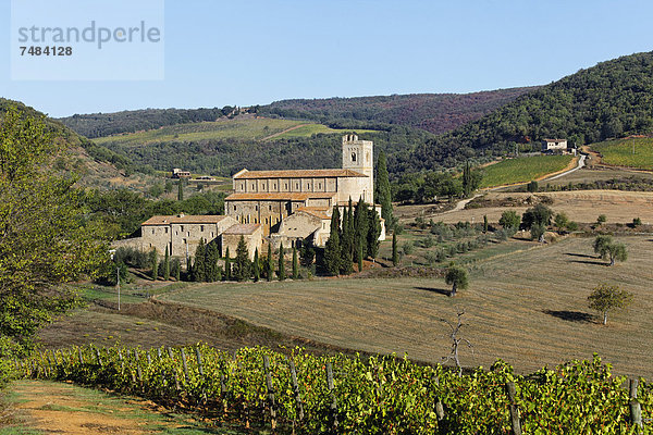 Abtei SantÆAntimo  Castelnuovo del Abate  Montalcino  Region Toskana  Provinz Siena  Italien  Europa