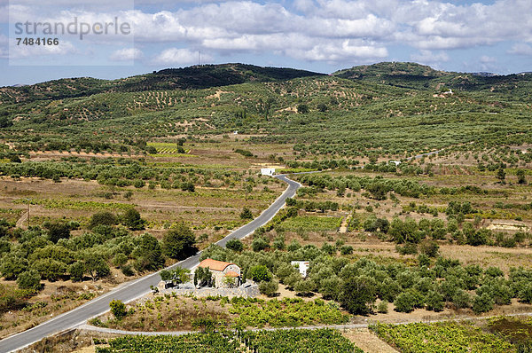 Landschaft nahe der Lassithi-Hochebene  Kreta  Griechenland  Europa