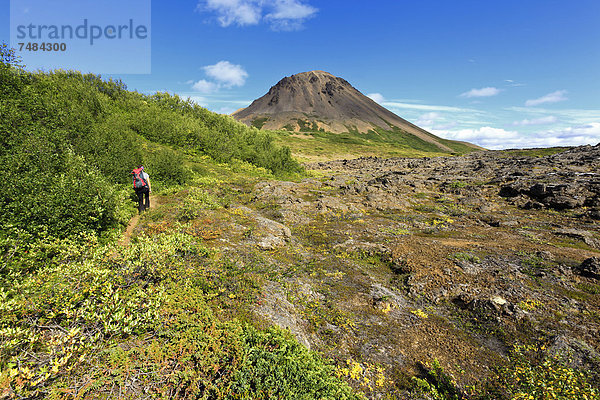 Junge Frau beim Trekking  Krafla  Nordisland  Island  Europa