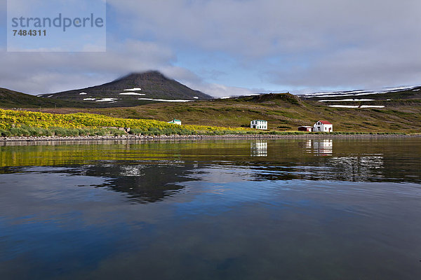 Europa Hornstrandir Island