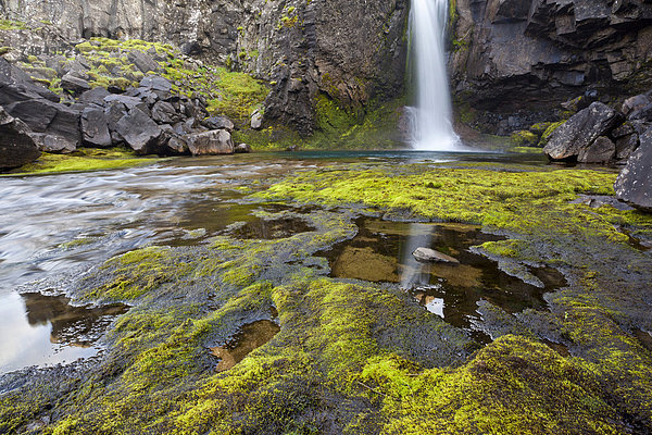 Wasserfall  Moos  Ostisland  Island  Europa