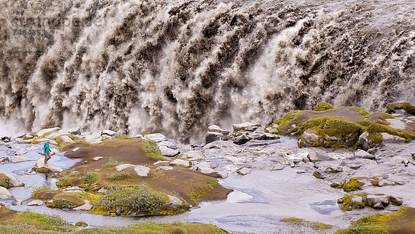 Touristin vor Wasserfall Dettifoss  Island  Europa