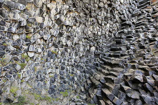 Hexagonale Basaltsäulen  Vulkangestein  Asbyrgi  Island  Europa