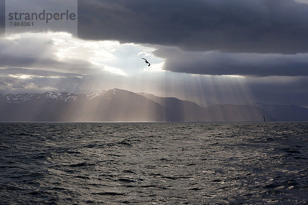 Sonnenstrahlen durch Gewitterwolken  Island  Europa