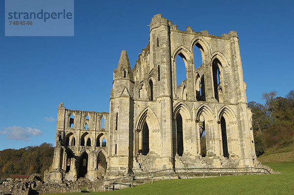 Rievaulx Abbey  North Yorkshire  England  Großbritannien  Europa