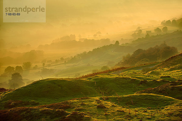 Rosedale im Morgenlicht  von Chimney Bank  North York Moors National Park  North Yorkshire  England  Großbritannien  Europa