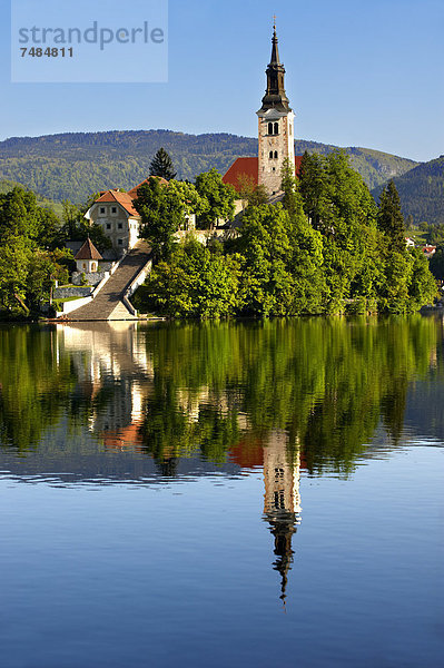 Mariä Himmelfahrt Wallfahrtskirche auf der Seeinsel im Bleder See  auch Veldeser See  Slowenien  Europa