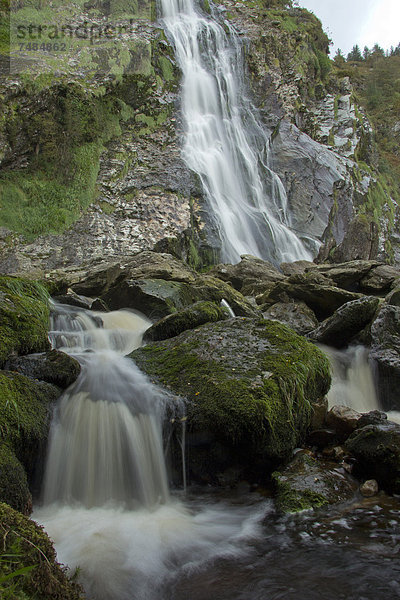 Powerscourt Wasserfall  County Wicklow  Irland  Europa