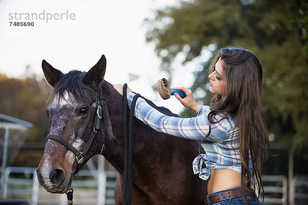 USA  Texas  Cowgirl Bürstenpferd