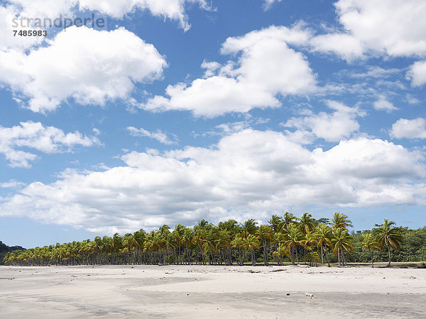 Mittelamerika  Costa Rica  Blick auf Playa Carrillo