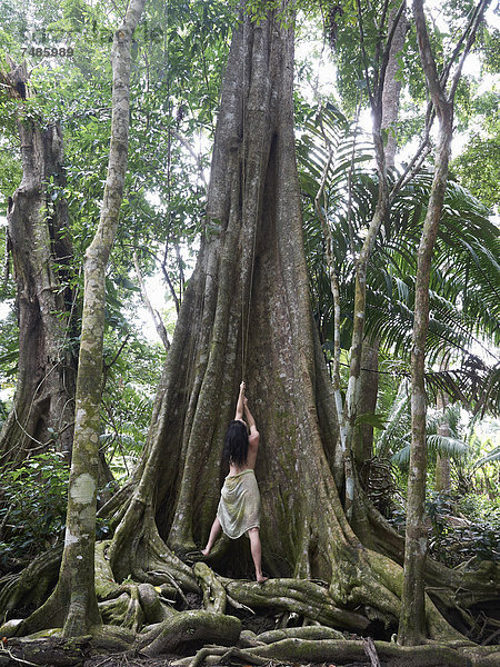 Mittelamerika  Costa Rica  Frau posiert am Kapokbaum im Regenwald