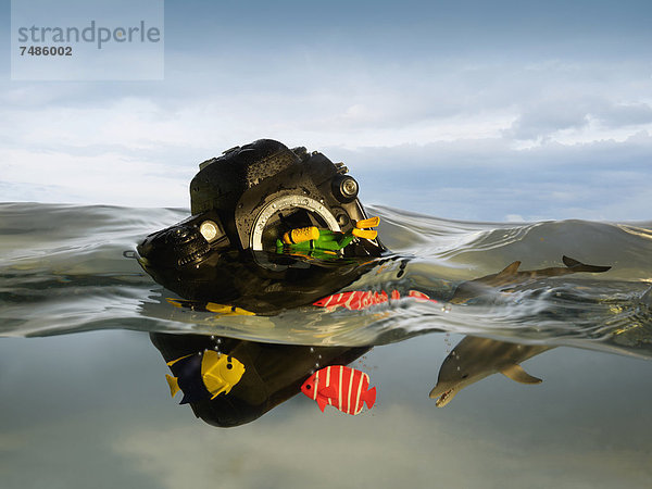 Stilleben mit Kamera im Wasser  Spielzeugtaucher schwimmend inmitten von Fischen