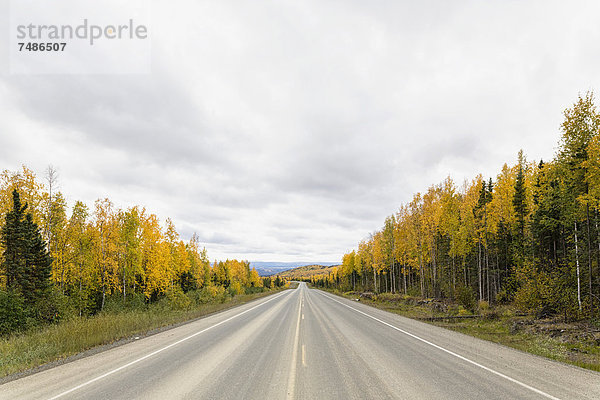 USA  Alaska  Blick auf den Dalton Highway im Herbst