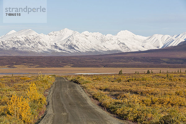 USA  Alaska  Blick auf den Denali Highway im Herbst