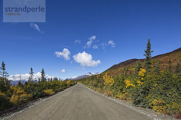 USA  Alaska  Blick auf den Denali Highway im Herbst