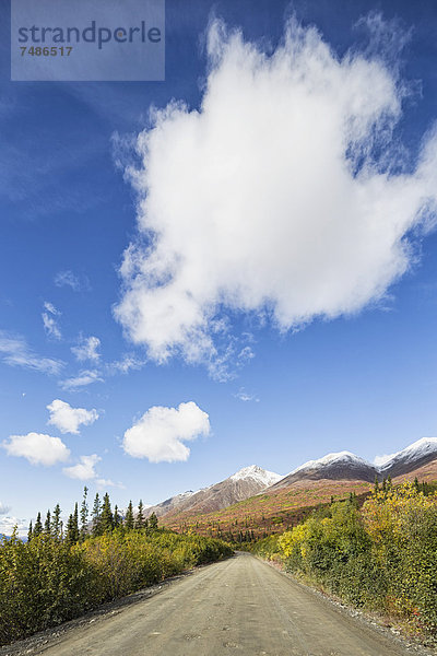 USA  Alaska  Blick auf den Denali Highway im Herbst