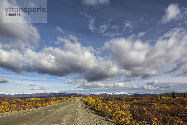 USA  Alaska  Blick auf den Denali Highway im Herbst