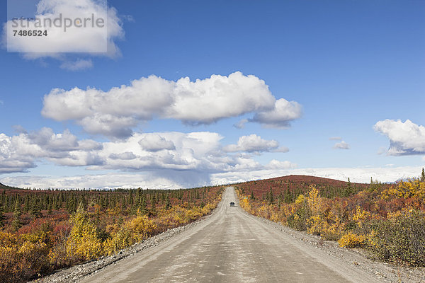 USA  Alaska  Blick auf den Denali Highway im Herbst