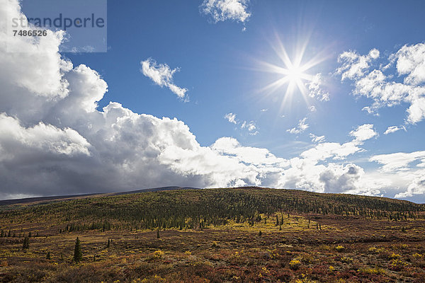 USA  Alaska  Landschaft am Denali Highway im Herbst mit Alaska Range