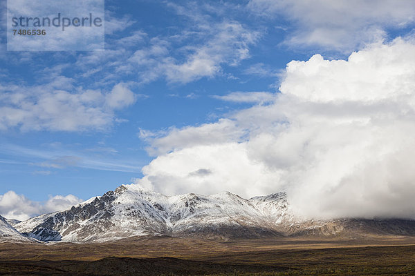 USA  Alaska  Landschaft am Denali Highway im Herbst mit Alaska Range