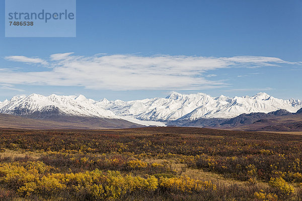 USA  Alaska  Landschaft am Denali Highway im Herbst mit Alaska Range