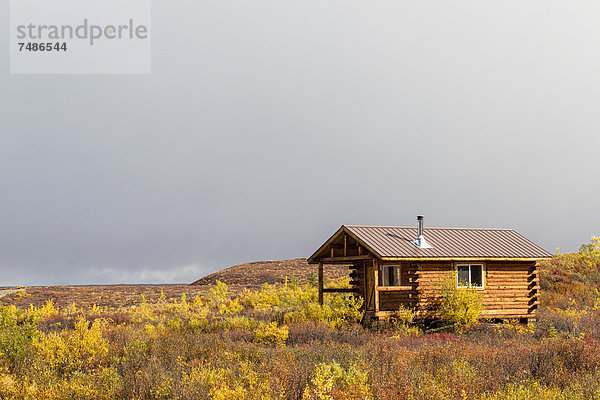 USA  Alaska  Landschaft am Denali Highway im Herbst mit Alaska Range