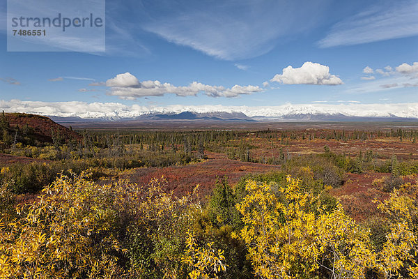 USA  Alaska  Landschaft am Denali Highway im Herbst mit Alaska Range