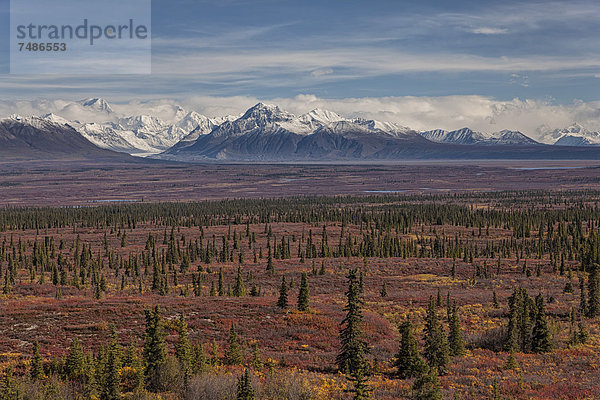 USA  Alaska  Landschaft am Denali Highway im Herbst mit Alaska Range