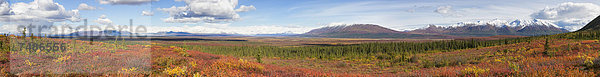 USA  Alaska  Ansicht der Landschaft im Herbst und Alaska Range im Hintergrund