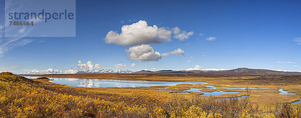 USA  Ansicht der Landschaft im Herbst und Alaska Range im Hintergrund