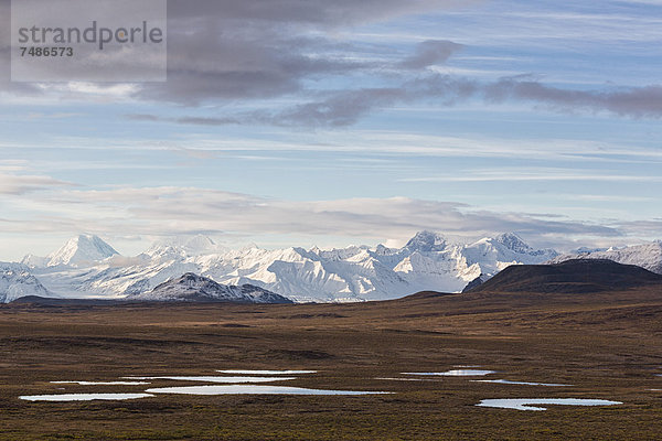 USA  Alaska  Blick auf die Landschaft im Herbst  Alaska Range im Hintergrund