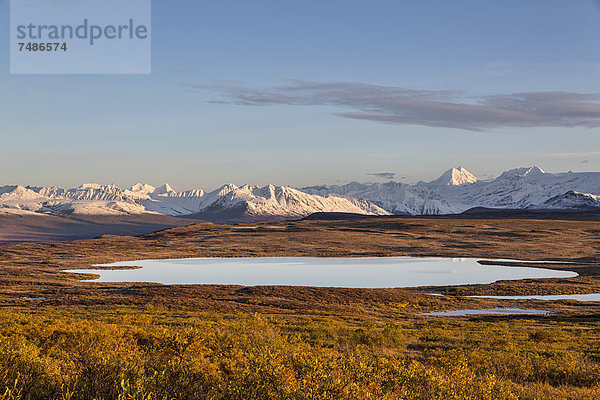 USA  Alaska  Blick auf die Landschaft im Herbst  Alaska Range im Hintergrund