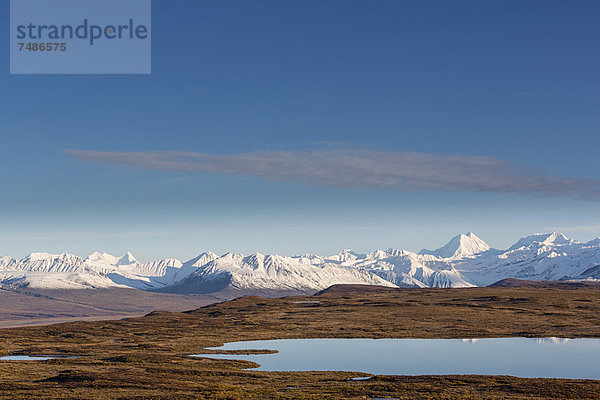 USA  Alaska  Blick auf die Landschaft im Herbst  Alaska Range im Hintergrund