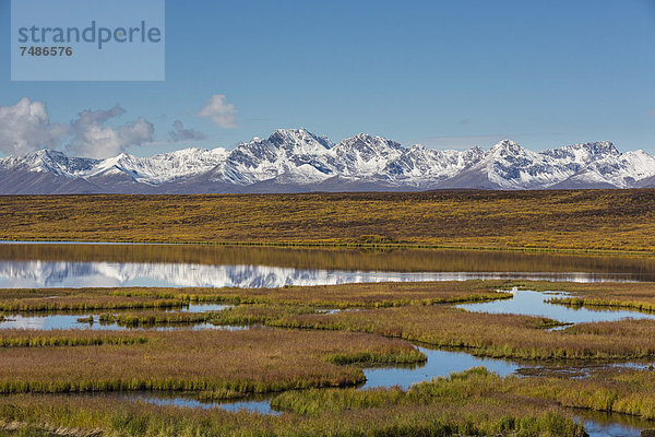 USA  Alaska  Blick auf die Landschaft im Herbst  Alaska Range im Hintergrund