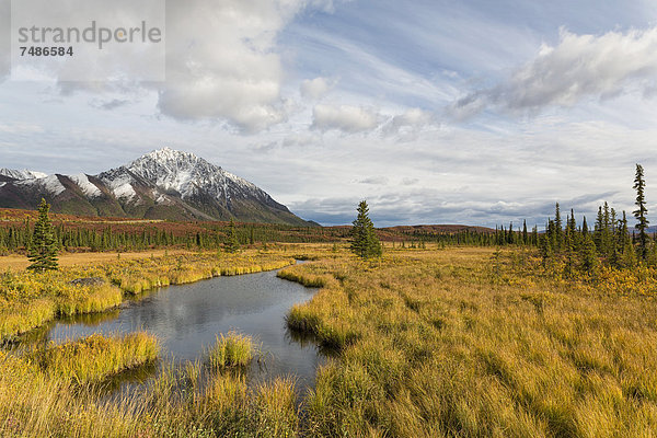 USA  Alaska  Blick auf die Landschaft im Herbst  Alaska Range im Hintergrund