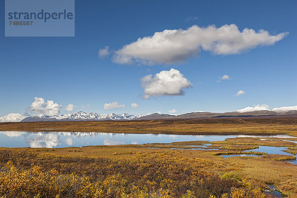 USA  Alaska  Blick auf die Landschaft im Herbst  Alaska Range im Hintergrund