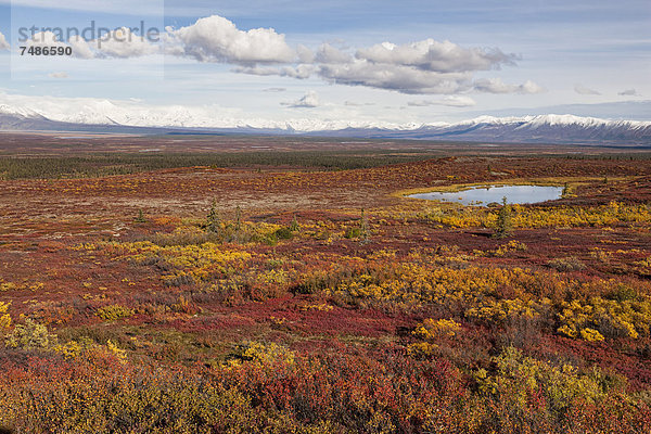 USA  Alaska  Blick auf die Landschaft im Herbst  Alaska Range im Hintergrund